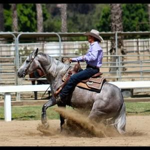 Meet your Posher, Debbie